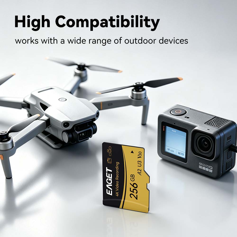 Scheda di memoria EAGET TF Mic - Action Camera Micro Sd Card 128Gb V30 recensione e prezzo