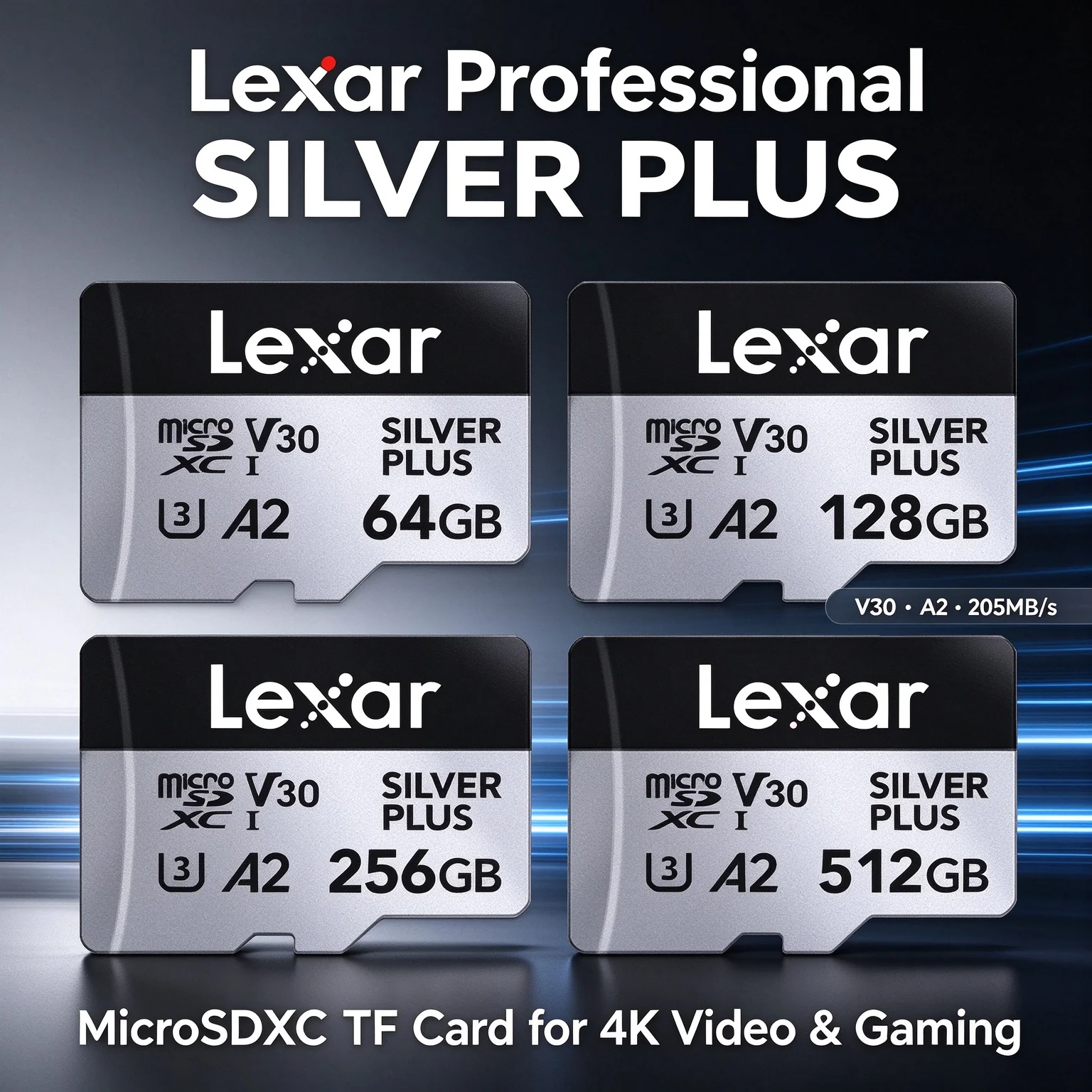 Scheda di memoria Lexar SILVER - Action Camera Micro Sd Card 128Gb V30 recensione e prezzo